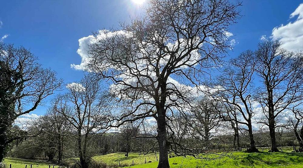 Talley CARMARTHENSHIRE