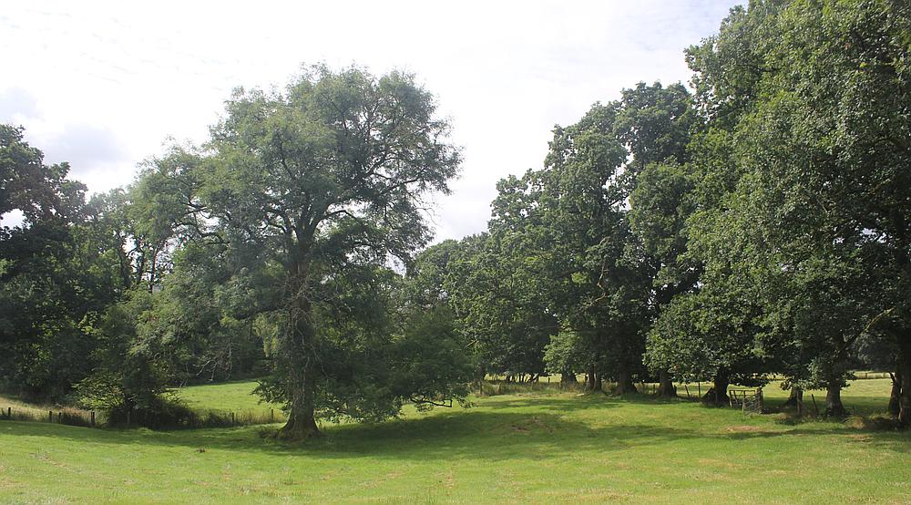 Talley CARMARTHENSHIRE