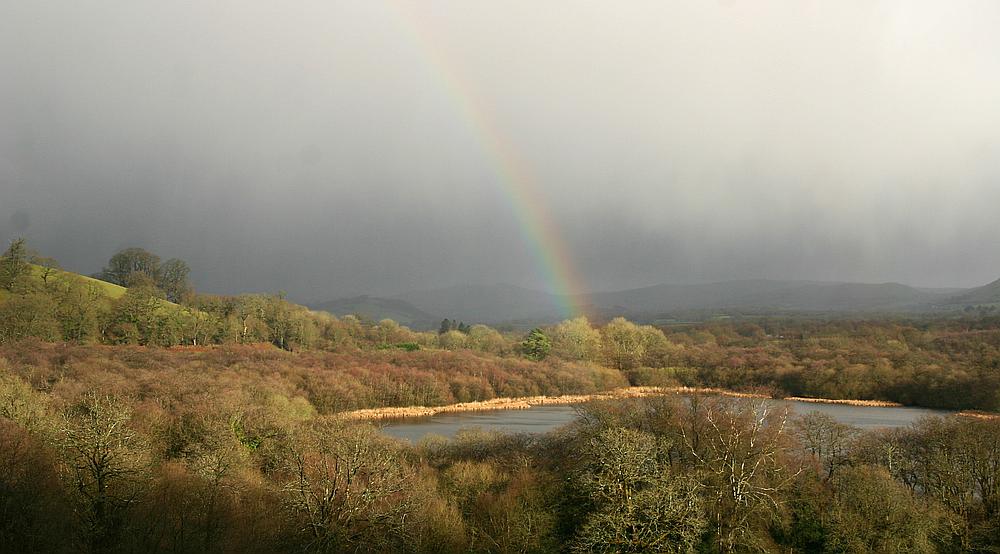 Talley CARMARTHENSHIRE