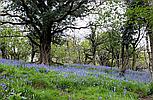 Llandysul CEREDIGION