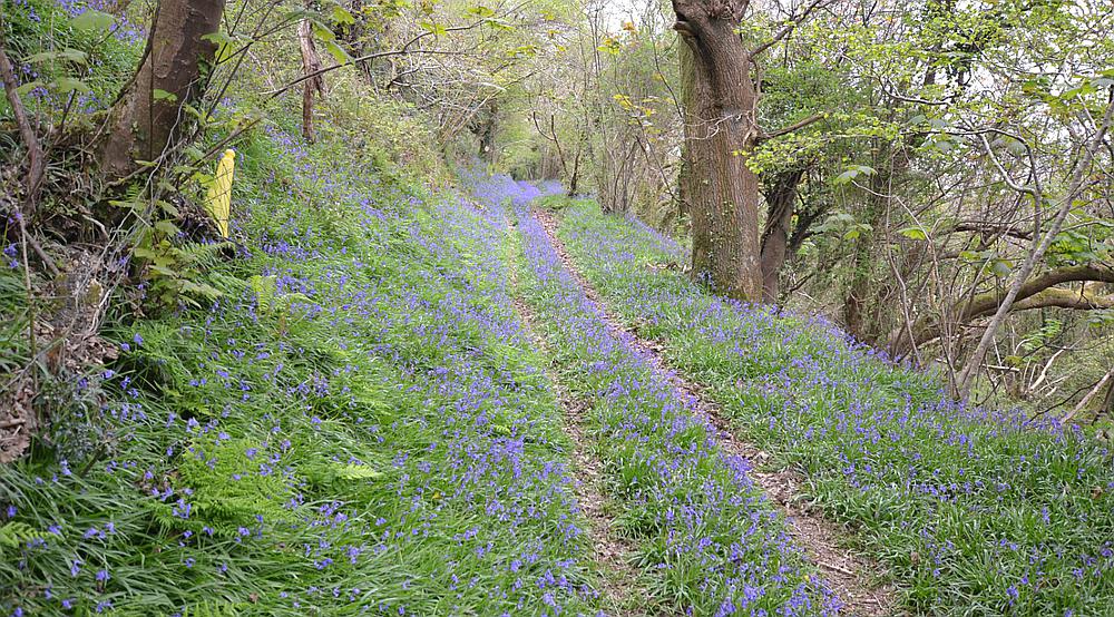 Llandysul CEREDIGION