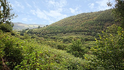 Cwmdu CARMARTHENSHIRE