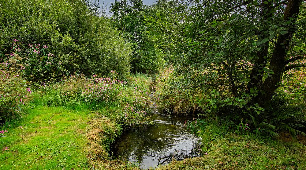 Rhydargaeau CARMARTHENSHIRE