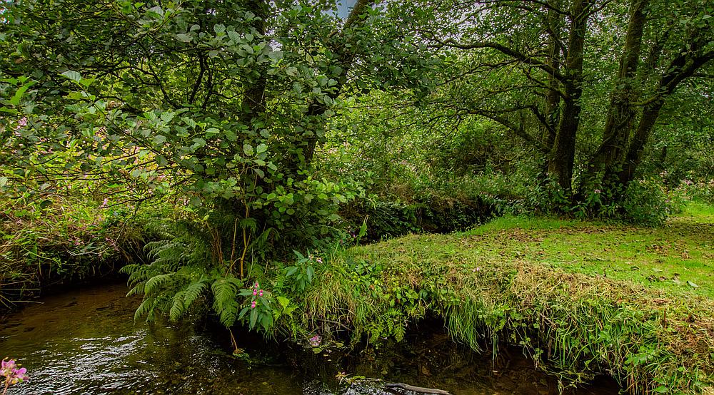 Rhydargaeau CARMARTHENSHIRE