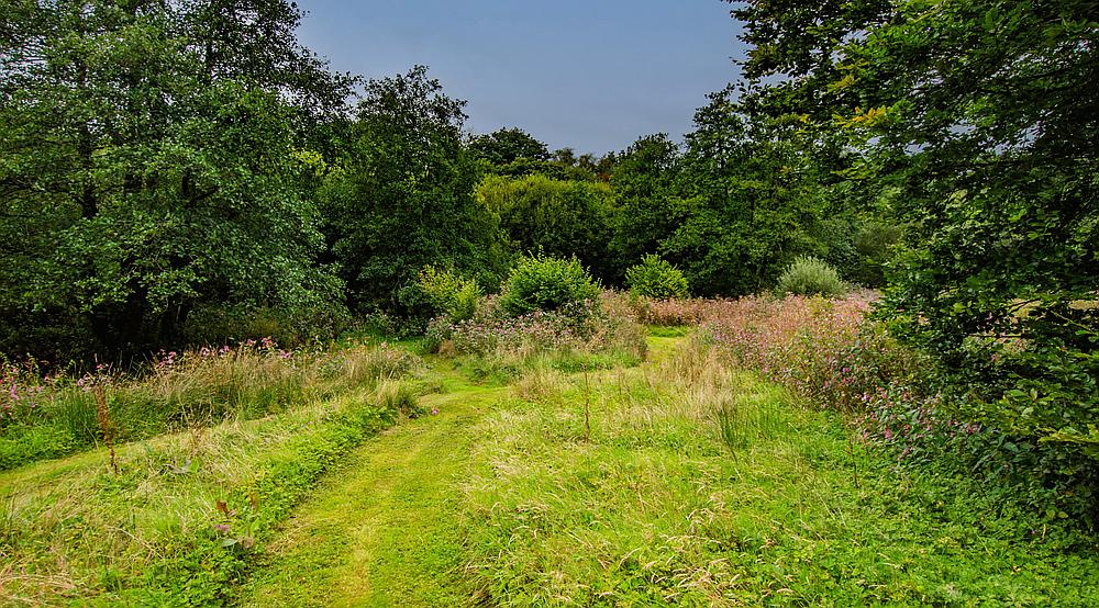 Rhydargaeau CARMARTHENSHIRE