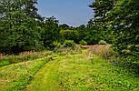 Rhydargaeau CARMARTHENSHIRE